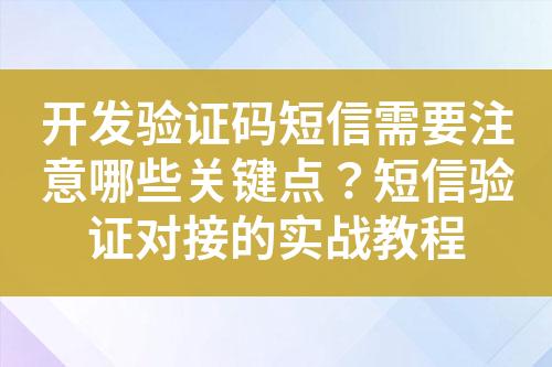 開發(fā)驗證碼短信需要注意哪些關(guān)鍵點？短信驗證對接的實戰(zhàn)教程